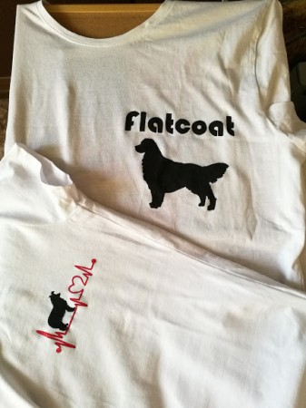Hafani - 10 €